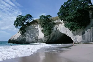 North Island Prints: New Zealand Beach Print: White Chalk Cliffs