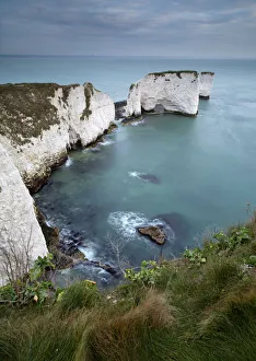 The beautiful cliffs and sea stacks of Old Harry Rocks, Jurassic Coast The beautiful cliffs and sea stacks of Old Harry Rocks, Jurassic Coast