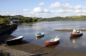 United Kingdom Photography Prints: Bere Ferrers, River Tavy, Devon, England, United Kingdom, Europe