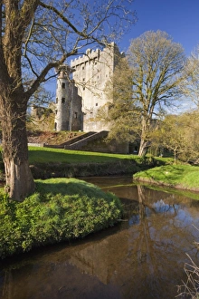 Blarney Castle Prints: Springtime Blarney Castle Print, County Cork, Ireland