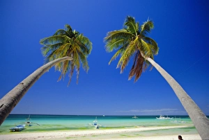 Tropical Paradise Prints: Borocay, Philippines