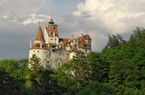 Prints of Bran Castle (Draculas Castle), Bran, Transylvania, Romania, Europe Romania Prints: Bran Castle Print, a photograph of the medieval fortress in Transylvania