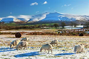 Wales Collection: Brecon Beacons National Park, Wales, United Kingdom, Europe
