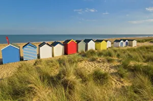 Brightly painted beach huts, rear view, in the afternoon sunshine below Gun Hill Brightly painted beach huts, rear view, in the afternoon sunshine below Gun Hill