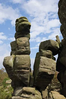 Brimham Rocks, Brimham Moor, near Ripon, North Yorkshire, England, United Kingdom, Europe Brimham Rocks, Brimham Moor, near Ripon, North Yorkshire, England, United Kingdom, Europe
