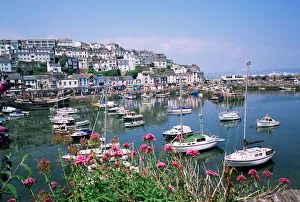 Devon Prints: Brixham Harbour Print