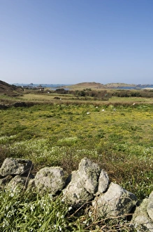 Isles Of Scilly Prints: Bryer (Bryh)