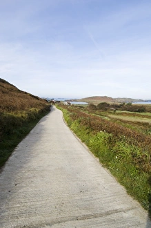 Isles Of Scilly Prints: Bryer (Bryher)