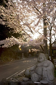 Buddha Statue Japan Prints: Buddha statue
