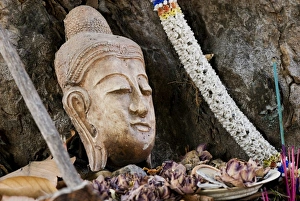 Buddhist Statue In Nature Prints: Buddhist head placed at tree base, Chiang Mai, Thailand, Southeast Asia, Asia
