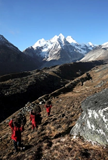 Three Buddhist monks carry firewood high above the mountain village of Khare Three Buddhist monks carry firewood high above the mountain village of Khare