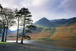 Prints of Buttermere, Lake District National Park, Cumbria, England, United Kingdom, Europe Cumbria Prints: Buttermere Lake District Print