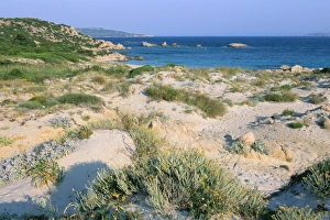 Sardinian Coastal Towns Prints: Cala Maiore