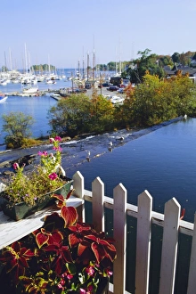 Camden Harbor Print - Maine Coastline Scene