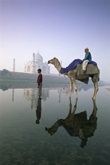 Camel in front of the Taj Mahal and Yamuna (Jumna) River Camel in front of the Taj Mahal and Yamuna (Jumna) River