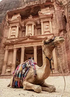 Al Khazneh Collection: Camel in front of The Treasury (Al-Khazneh), Petra, UNESCO World Heritage Site, Ma an