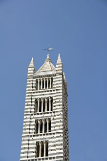 Tuscany Travel Guide Prints: The Campanile