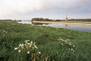 Windmills In Europe Prints: Canal and windmill