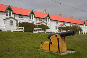 Cannon on Victory Green in Port Stanley, Falkland Islands (Islas Malvinas), South America Cannon on Victory Green in Port Stanley, Falkland Islands (Islas Malvinas), South America