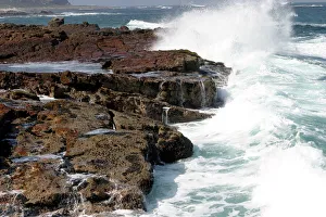 Cape of Good Hope Print, National Park Landscape