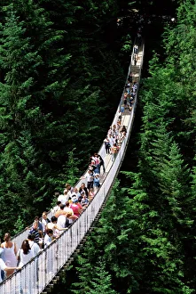 The Capilano Suspension Bridge, Vancouver, British Columbia (B.C.), Canada, North America The Capilano Suspension Bridge, Vancouver, British Columbia (B.C.), Canada, North America