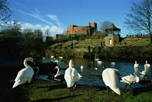 Prints of Castle and River Teme, Tamworth, Staffordshire, England, United Kingdom, Europe Staffordshire Prints: Castle and River Teme Print, Tamworth, Staffordshire