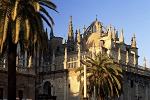 Outdoor Photography Spain Prints: The cathedral and palms at sunset