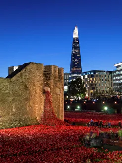 Ceramic poppies forming the installation Blood Swept Lands Ceramic poppies forming the installation Blood Swept Lands
