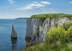 The Chalk cliffs of Ballard Down with The Pinnacles Stack in Swanage Bay, near Handfast Point The Chalk cliffs of Ballard Down with The Pinnacles Stack in Swanage Bay, near Handfast Point
