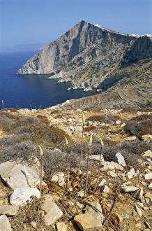 Cyclades Greece Tourism Prints: Chapel and Khora