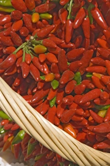 Red Chilli Peppers Prints: Chillies