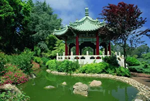 Chinese pavilion by a pond in the Golden Gate Park in San Francisco Chinese pavilion by a pond in the Golden Gate Park in San Francisco