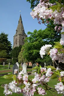 Church and spring blossom, Burton Joyce, Nottinghamshire, England, United Kingdom, Europe Church and spring blossom, Burton Joyce, Nottinghamshire, England, United Kingdom, Europe