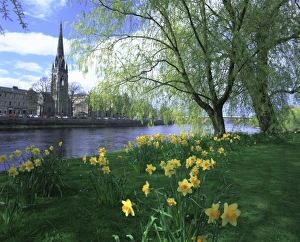 Scottish Architecture Images Prints: City in spring