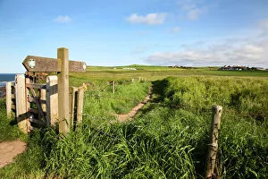 The Cleveland Way Footpath at Saltwick Bay near Whitby, North Yorkshire, Yorkshire, England, United Kingdom, Europe The Cleveland Way Footpath at Saltwick Bay near Whitby, North Yorkshire, Yorkshire, England, United Kingdom, Europe
