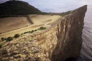 Portuguese Nature Photography Prints: Cliff face