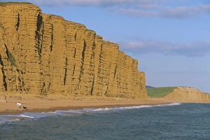 UK Beaches Prints: Cliffs towering over West Bay Beach, Dorset, England, United Kingdom, Europe