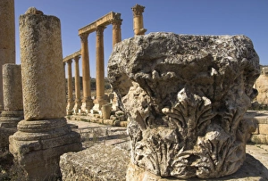 Jerash Archaeological Site Prints: Close up of column capital