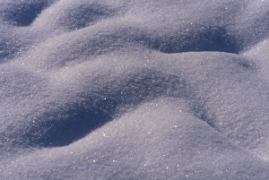Contemporary Outdoor Photography Prints: Close up of snow