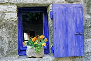 Close-up of blue shutter, window and yellow pansies, Villefranche sur Mer Close-up of blue shutter, window and yellow pansies, Villefranche sur Mer