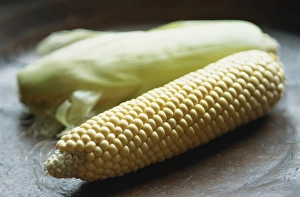 Cornfield Harvest Season Prints: Close-up of uncooked corn on the cob