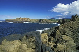 Coastal Basalt Columns Prints: Columnar structures, created during cooling of basalt lava