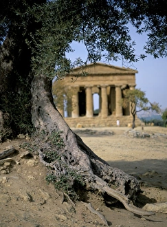 Ancient Greek Temples In Italy Prints: The Concordia temple