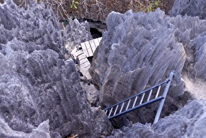 Coral formations, Tsingy de Bemaraha, UNESCO World Heritage Site, Madagascar, Africa Coral formations, Tsingy de Bemaraha, UNESCO World Heritage Site, Madagascar, Africa