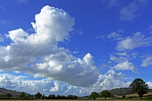 European Outdoor Scenery Prints: Cornfields, Exe Valley, Devon, England, United Kingdom, Europe