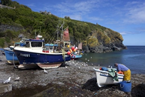 Cornish fisherman on beach at Cadgwith, Lizard Peninsula, Cornwall, England Cornish fisherman on beach at Cadgwith, Lizard Peninsula, Cornwall, England