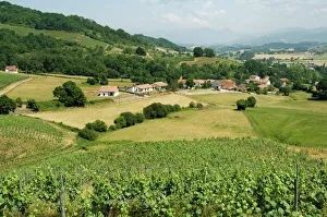 Countryside near St. Jean Pied de Port, Basque country, Pyrenees-Atlantiques Countryside near St. Jean Pied de Port, Basque country, Pyrenees-Atlantiques