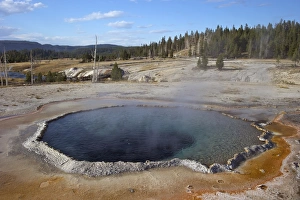 Upper Geyser Basin Prints: Crested Pool, Upper Geyser Basin