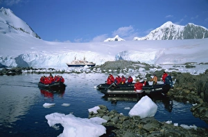 Port Lockroy Antarctica Prints: Cruise passengers on excursion by dinghy