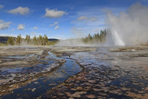 American Natural Landmarks Prints: Daisy Geyser, one of the most predictable